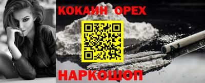 Альфа ПВП Камышлов