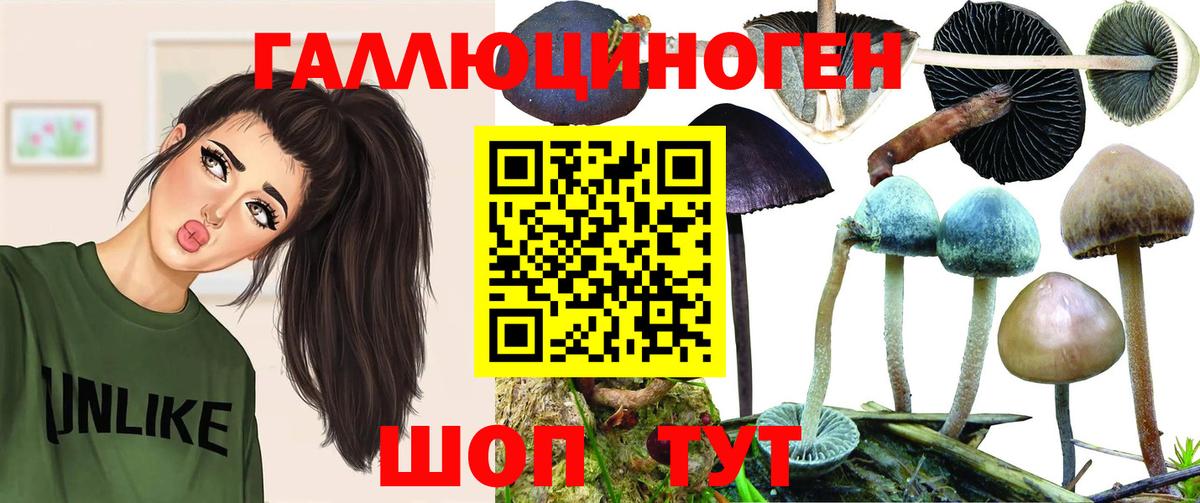 Галлюциногенные грибы Psilocybe Люберцы